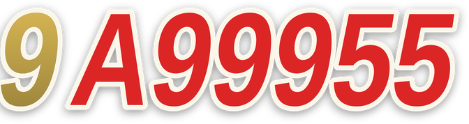 9a99955